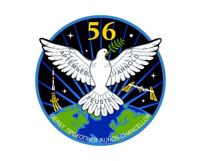 Expedition 56 Patch